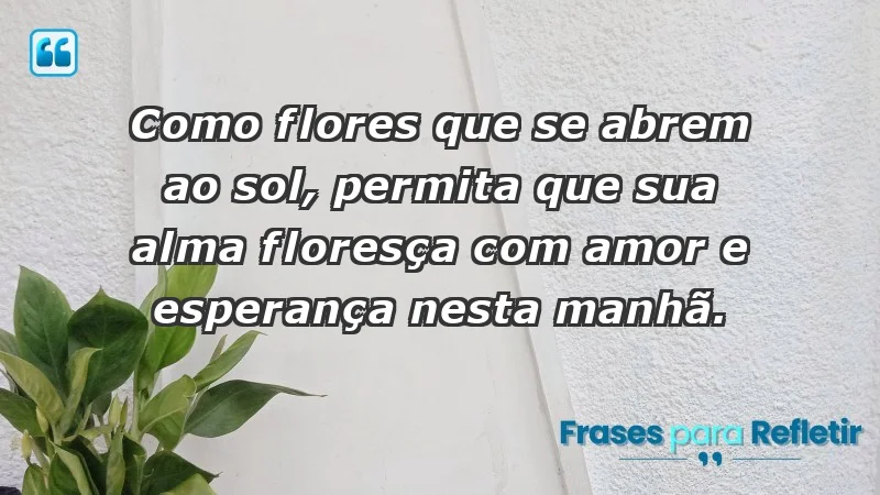 - Como flores que se abrem ao sol, permita que sua alma floresça com amor e esperança nesta manhã.