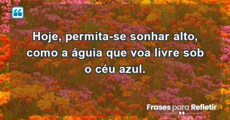 Hoje, permita-se sonhar alto, como a águia que voa livre sob o céu azul.