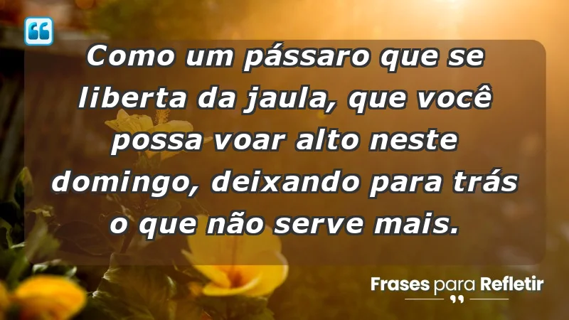 - Como um pássaro que se liberta da jaula, que você possa voar alto neste domingo, deixando para trás o que não serve mais.