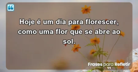 Hoje é um dia para florescer, como uma flor que se abre ao sol.