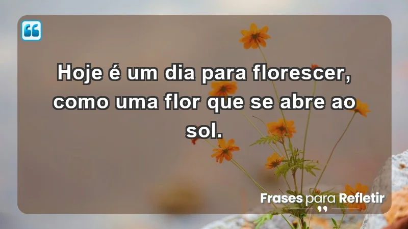 - Hoje é um dia para florescer, como uma flor que se abre ao sol.