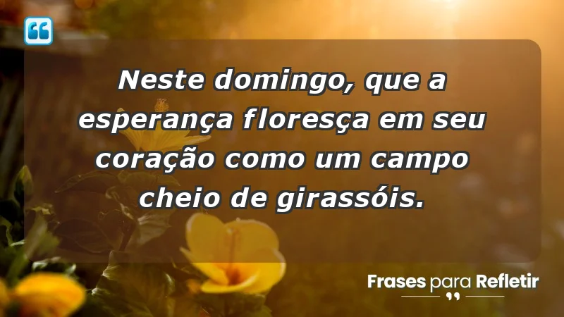 - Neste domingo, que a esperança floresça em seu coração como um campo cheio de girassóis.