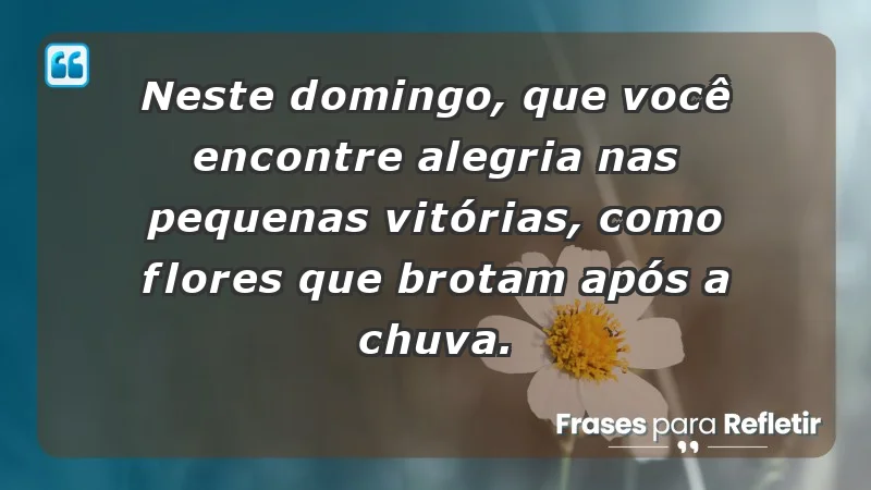 - Neste domingo, que você encontre alegria nas pequenas vitórias, como flores que brotam após a chuva.