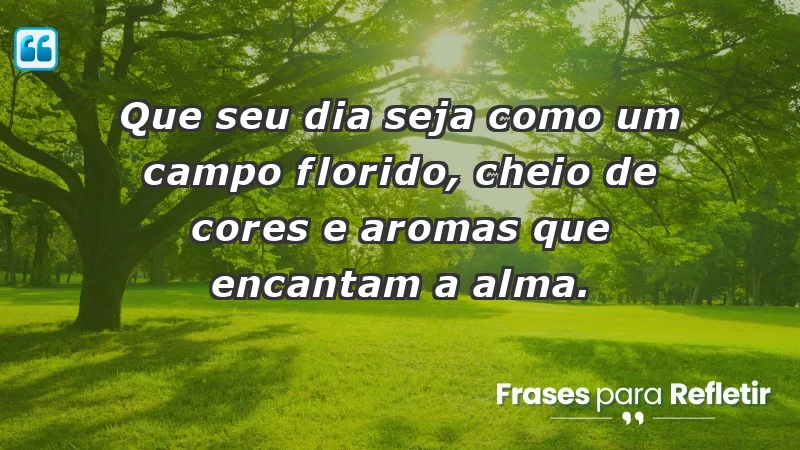 - Que seu dia seja como um campo florido, cheio de cores e aromas que encantam a alma.