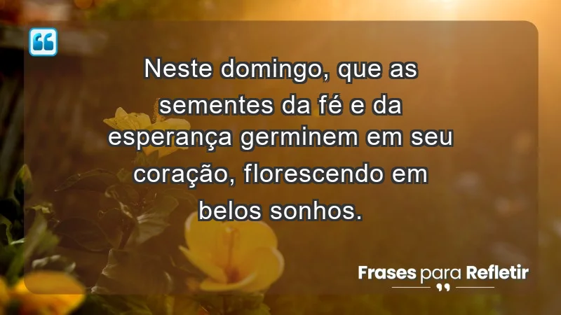 - Neste domingo, que as sementes da fé e da esperança germinem em seu coração, florescendo em belos sonhos.