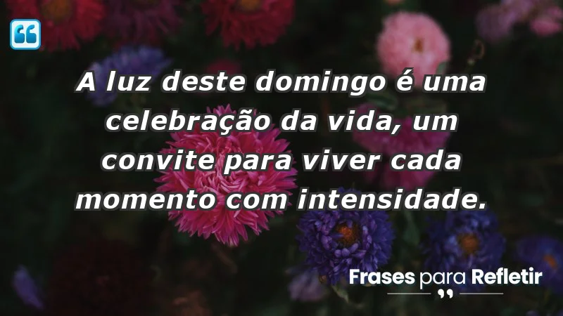 - A luz deste domingo é uma celebração da vida, um convite para viver cada momento com intensidade.