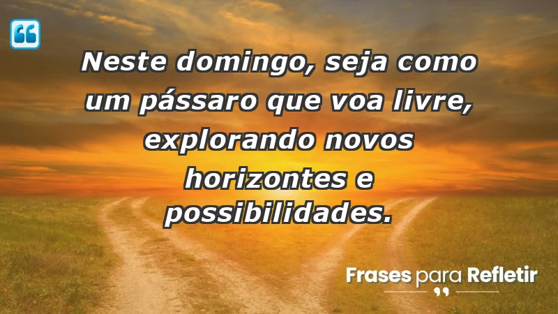 - Neste domingo, seja como um pássaro que voa livre, explorando novos horizontes e possibilidades.