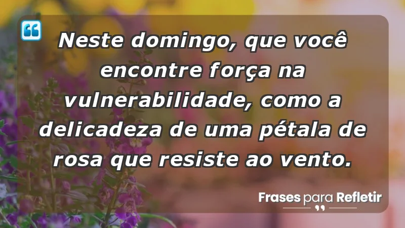 - Neste domingo, que você encontre força na vulnerabilidade, como a delicadeza de uma pétala de rosa que resiste ao vento.