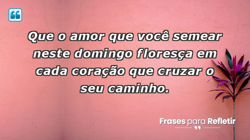 - Que o amor que você semear neste domingo floresça em cada coração que cruzar o seu caminho.