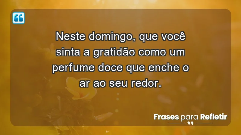 - Neste domingo, que você sinta a gratidão como um perfume doce que enche o ar ao seu redor.