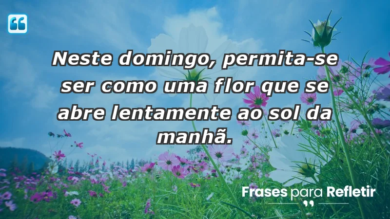 - Neste domingo, permita-se ser como uma flor que se abre lentamente ao sol da manhã.