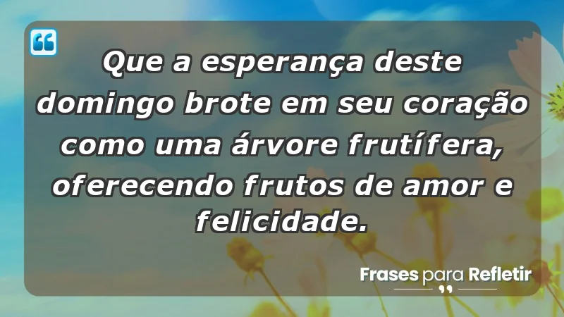 - Que a esperança deste domingo brote em seu coração como uma árvore frutífera, oferecendo frutos de amor e felicidade.