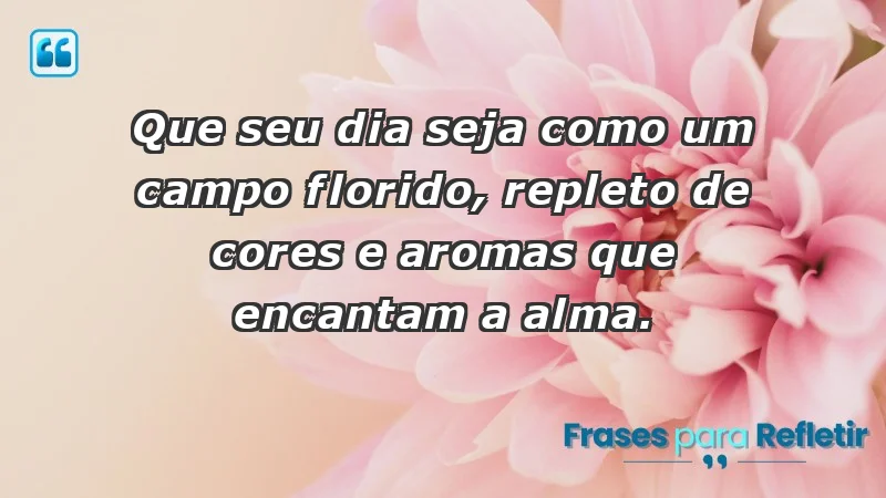 - Que seu dia seja como um campo florido, repleto de cores e aromas que encantam a alma.