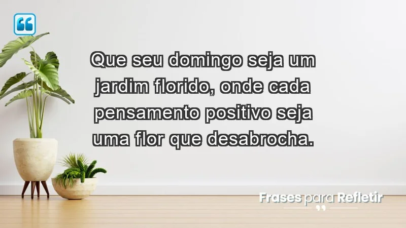 - Que seu domingo seja um jardim florido, onde cada pensamento positivo seja uma flor que desabrocha.