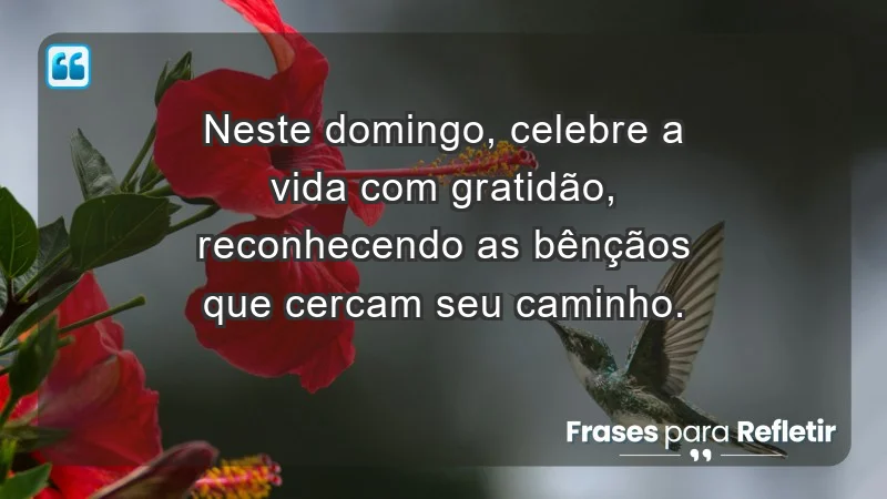 - Neste domingo, celebre a vida com gratidão, reconhecendo as bênçãos que cercam seu caminho.