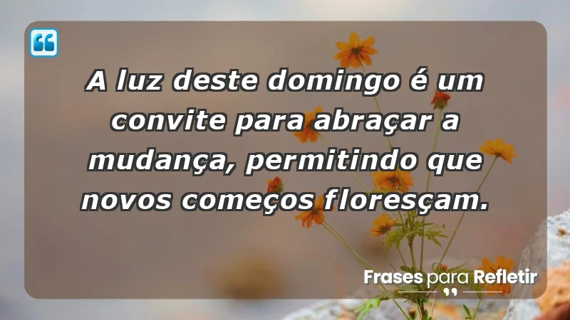 - A luz deste domingo é um convite para abraçar a mudança, permitindo que novos começos floresçam.