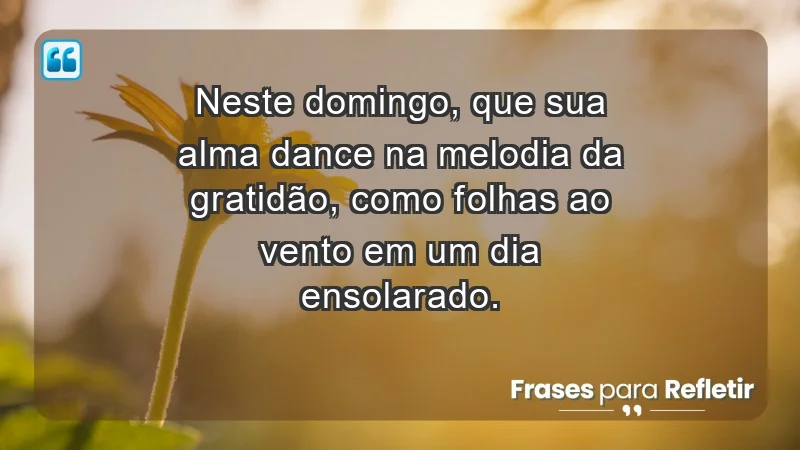 - Neste domingo, que sua alma dance na melodia da gratidão, como folhas ao vento em um dia ensolarado.