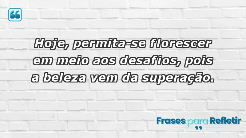 - Hoje, permita-se florescer em meio aos desafios, pois a beleza vem da superação.