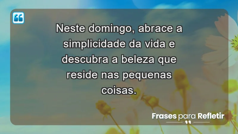 - Neste domingo, abrace a simplicidade da vida e descubra a beleza que reside nas pequenas coisas.