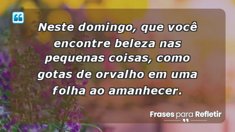 - Neste domingo, que você encontre beleza nas pequenas coisas, como gotas de orvalho em uma folha ao amanhecer.