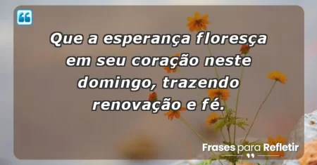 Que a esperança floresça em seu coração neste domingo, trazendo renovação e fé.