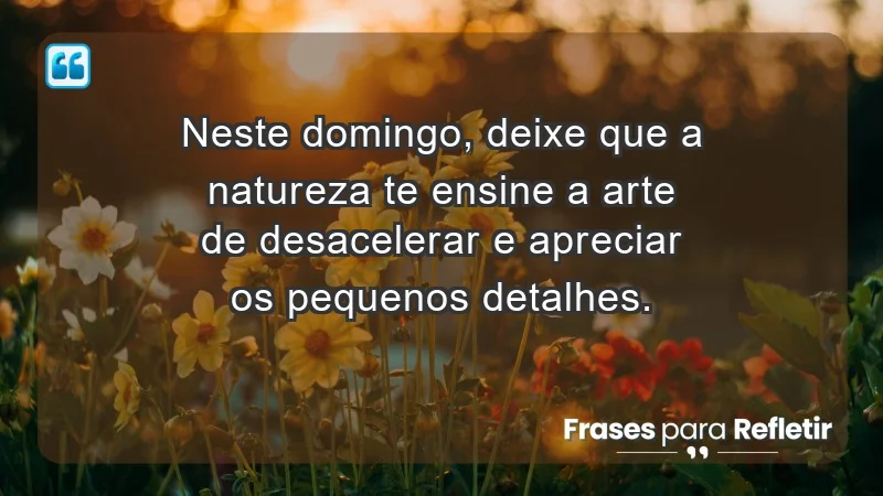 - Neste domingo, deixe que a natureza te ensine a arte de desacelerar e apreciar os pequenos detalhes.