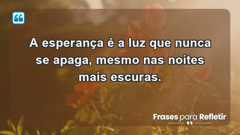 - A esperança é a luz que nunca se apaga, mesmo nas noites mais escuras.