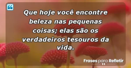 Que hoje você encontre beleza nas pequenas coisas; elas são os verdadeiros tesouros da vida.