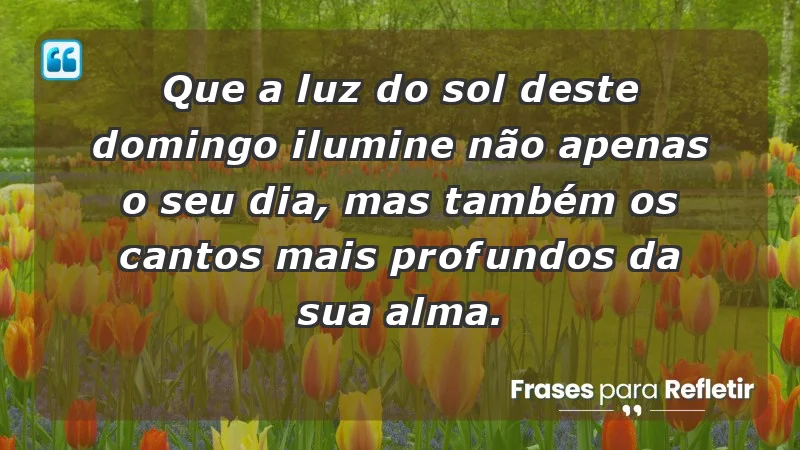 - Que a luz do sol deste domingo ilumine não apenas o seu dia, mas também os cantos mais profundos da sua alma.