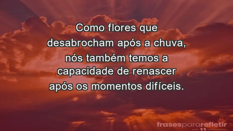 - Como flores que desabrocham após a chuva, nós também temos a capacidade de renascer após os momentos difíceis.