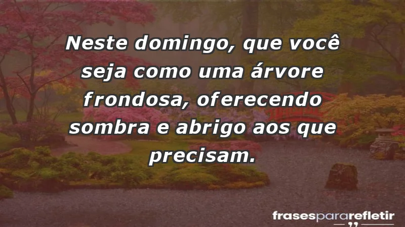 - Neste domingo, que você seja como uma árvore frondosa, oferecendo sombra e abrigo aos que precisam.