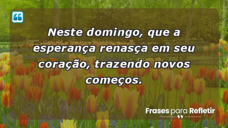 - Neste domingo, que a esperança renasça em seu coração, trazendo novos começos.