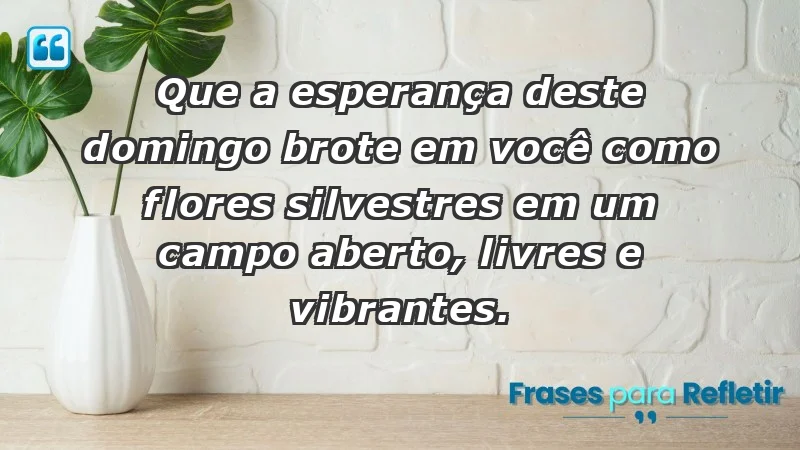 - Que a esperança deste domingo brote em você como flores silvestres em um campo aberto, livres e vibrantes.