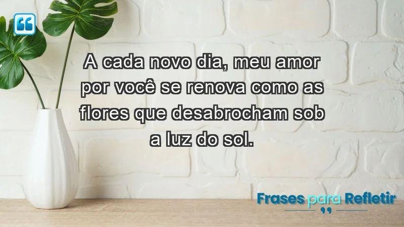 - A cada novo dia, meu amor por você se renova como as flores que desabrocham sob a luz do sol.