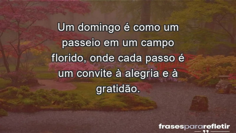 - Um domingo é como um passeio em um campo florido, onde cada passo é um convite à alegria e à gratidão.