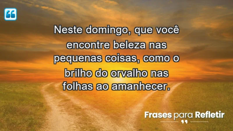 - Neste domingo, que você encontre beleza nas pequenas coisas, como o brilho do orvalho nas folhas ao amanhecer.