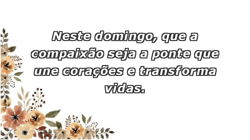 - Neste domingo, que a compaixão seja a ponte que une corações e transforma vidas.