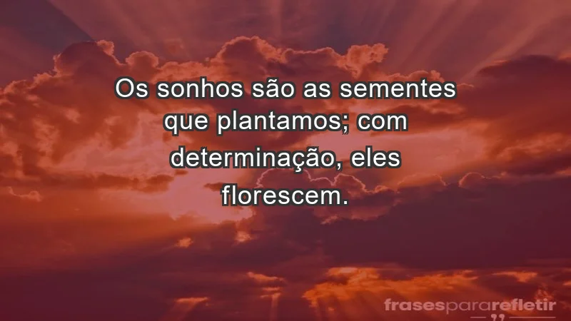 - Os sonhos são as sementes que plantamos; com determinação, eles florescem.