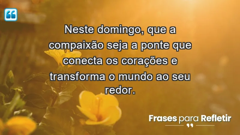 - Neste domingo, que a compaixão seja a ponte que conecta os corações e transforma o mundo ao seu redor.