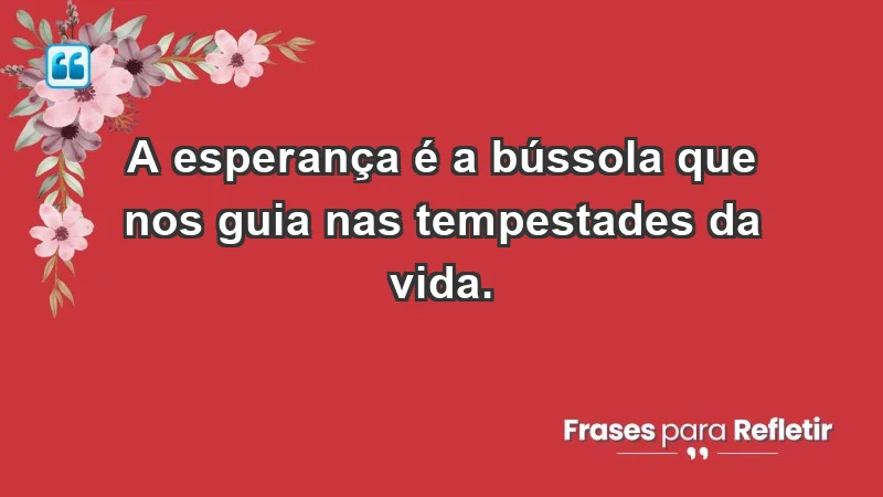 - A esperança é a bússola que nos guia nas tempestades da vida.