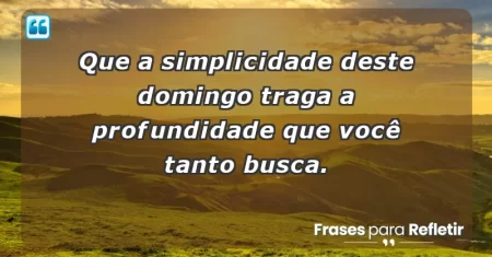 Que a simplicidade deste domingo traga a profundidade que você tanto busca.