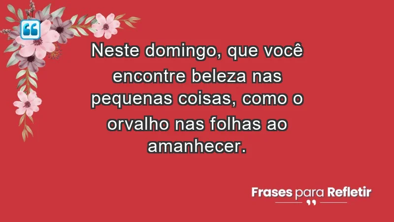 - Neste domingo, que você encontre beleza nas pequenas coisas, como o orvalho nas folhas ao amanhecer.