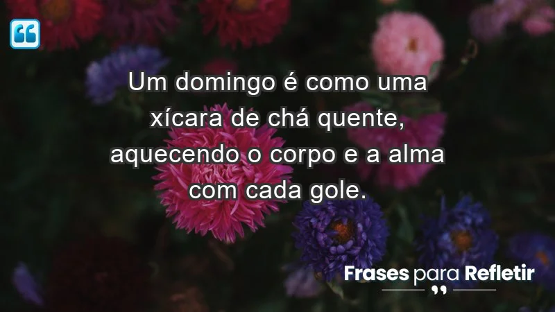 - Um domingo é como uma xícara de chá quente, aquecendo o corpo e a alma com cada gole.