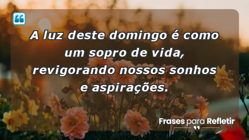 - A luz deste domingo é como um sopro de vida, revigorando nossos sonhos e aspirações.