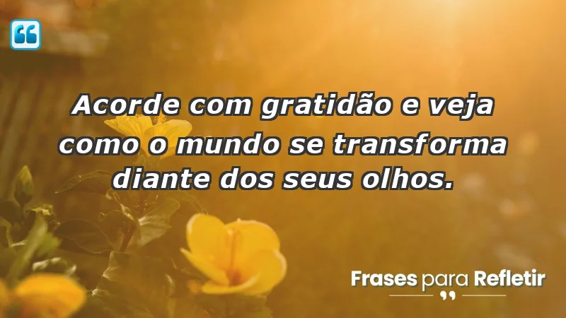 - Acorde com gratidão e veja como o mundo se transforma diante dos seus olhos.