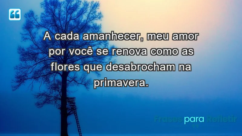 - A cada amanhecer, meu amor por você se renova como as flores que desabrocham na primavera.