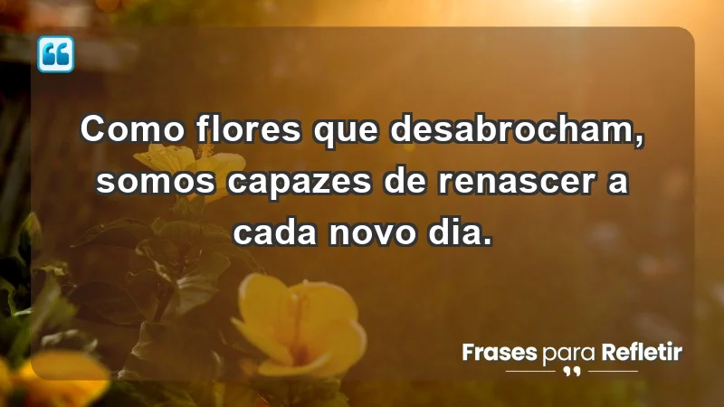 - Como flores que desabrocham, somos capazes de renascer a cada novo dia.