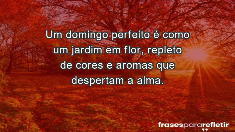 - Um domingo perfeito é como um jardim em flor, repleto de cores e aromas que despertam a alma.