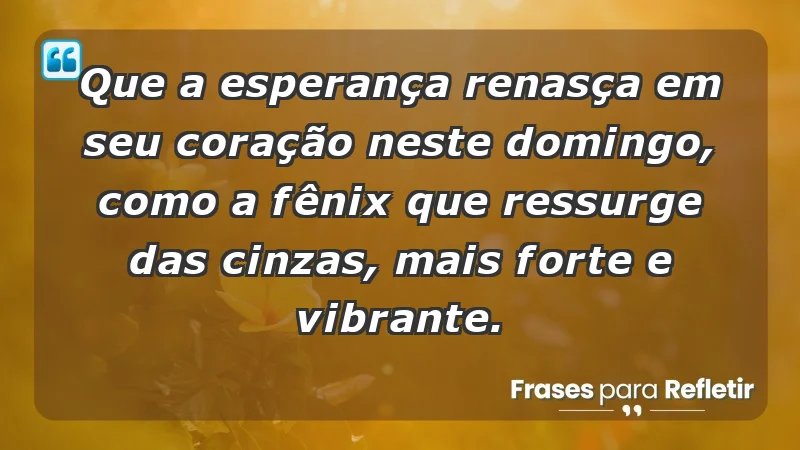 - Que a esperança renasça em seu coração neste domingo, como a fênix que ressurge das cinzas, mais forte e vibrante.