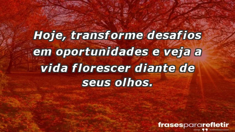 - Hoje, transforme desafios em oportunidades e veja a vida florescer diante de seus olhos.